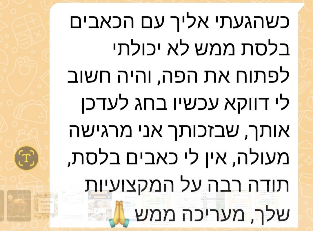 המלצה 13