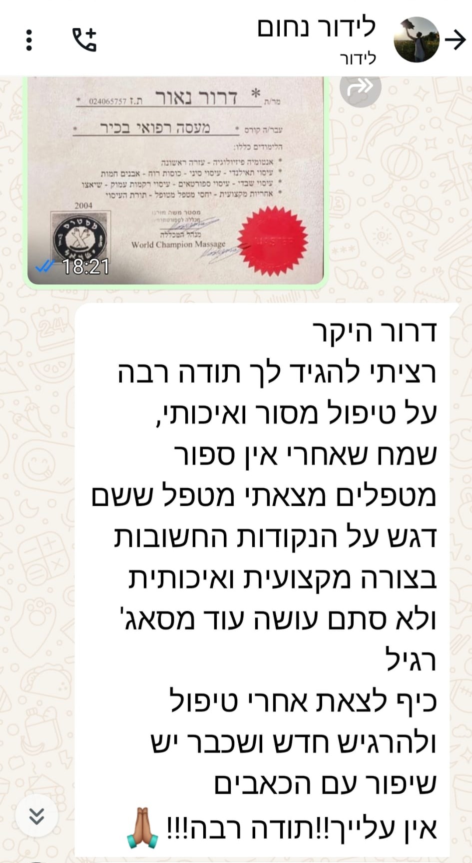 המלצה 1