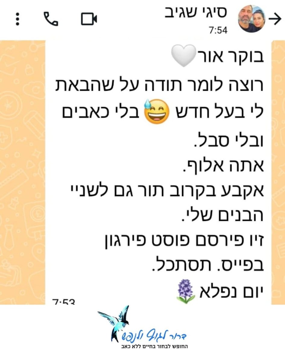 המלצה 6