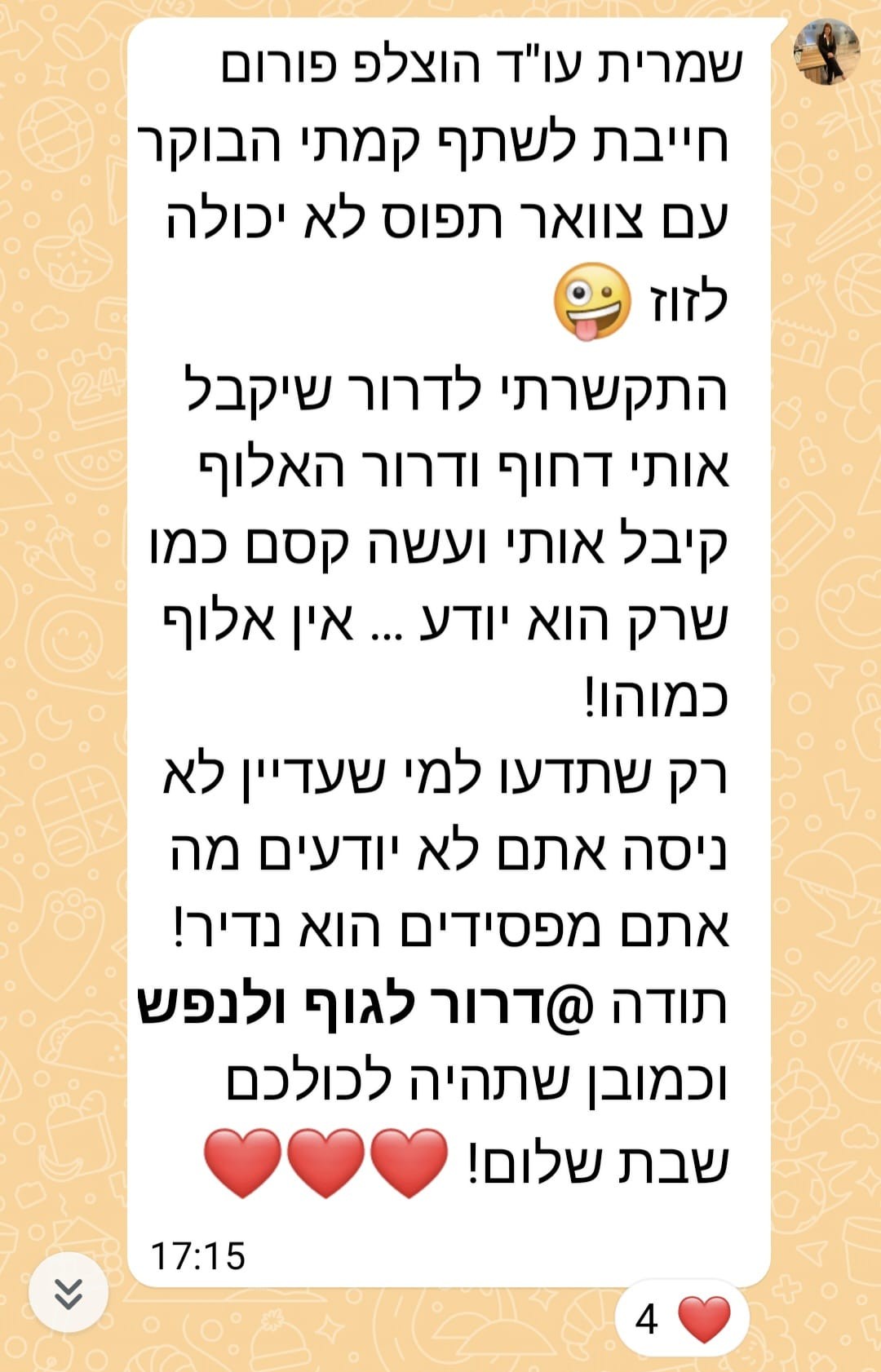 המלצה 2