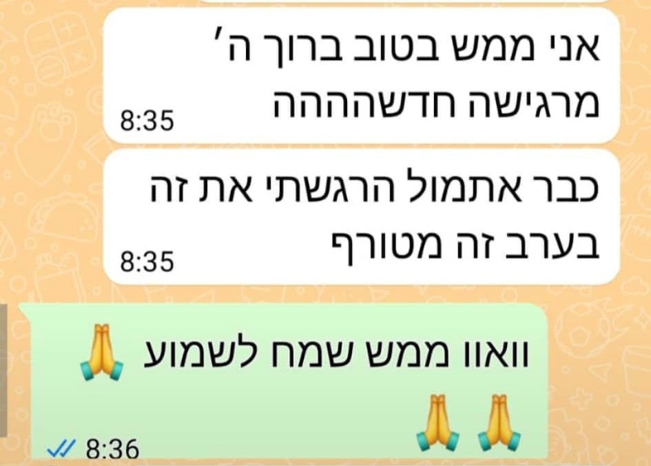 המלצה 11